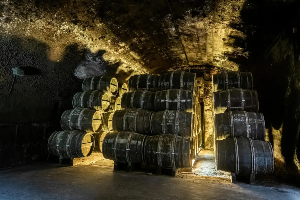 Une cave faiblement éclairée avec des rangées de tonneaux en bois empilés contre des murs en pierre, éclairés par une lumière chaude.