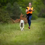1ère édition de Cani cross à Fayl-Billot