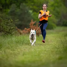 1ère édition de Cani cross à Fayl-Billot