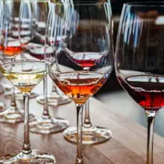 1ère initiation à la dégustation de vins à Strasbourg (67)