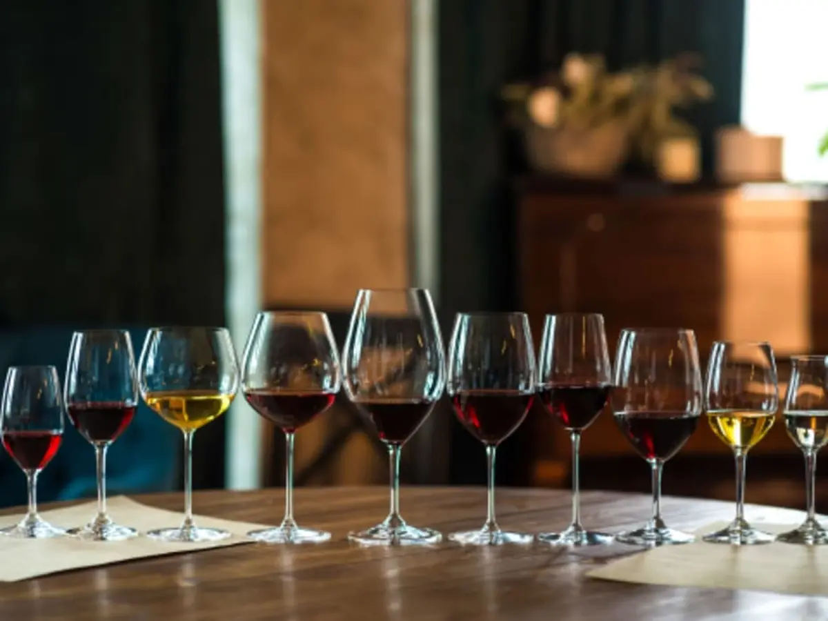 1ère initiation à la dégustation de vins à Toulouse (31)