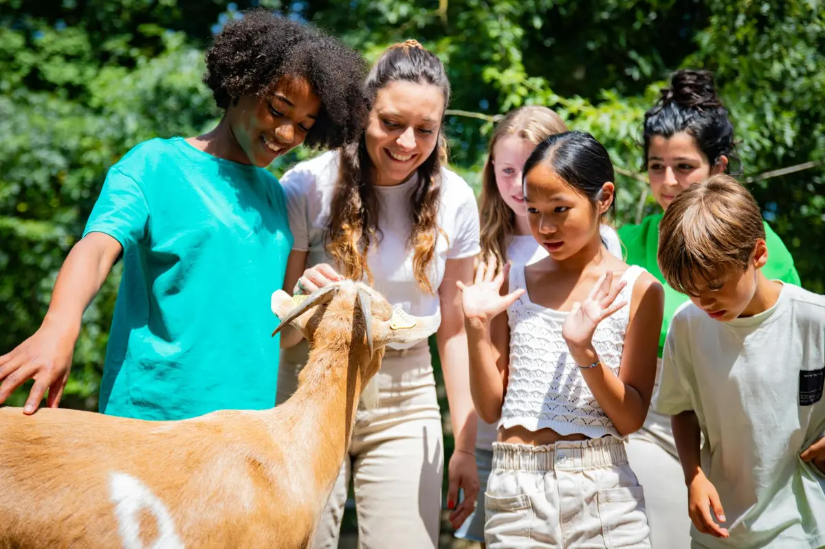 The Jardin farm where you can meet animals, here a goat.