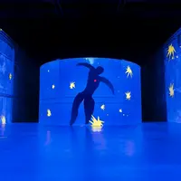 Les Bassins des Lumières : Exposition Matisse et Frida Kahlo &copy; @Culturespaces / Geoffroy Groult