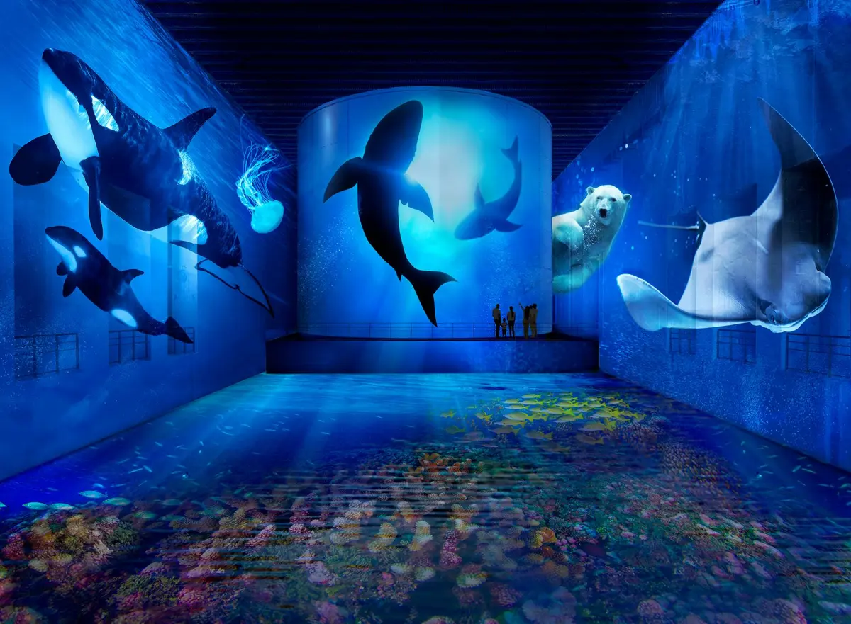 Des personnes observent des projections de vie marine, notamment des baleines, un ours polaire et une raie manta, dans une exposition aquatique immersive.