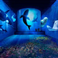 Des personnes observent des projections de vie marine, notamment des baleines, un ours polaire et une raie manta, dans une exposition aquatique immersive. &copy; © Cultuirespaces