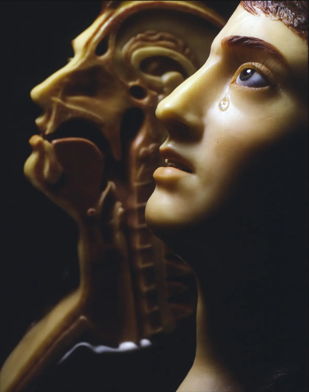 Gros plan d'un modèle anatomique humain avec une déchirure, montrant les structures internes ; un autre modèle est partiellement visible derrière lui.