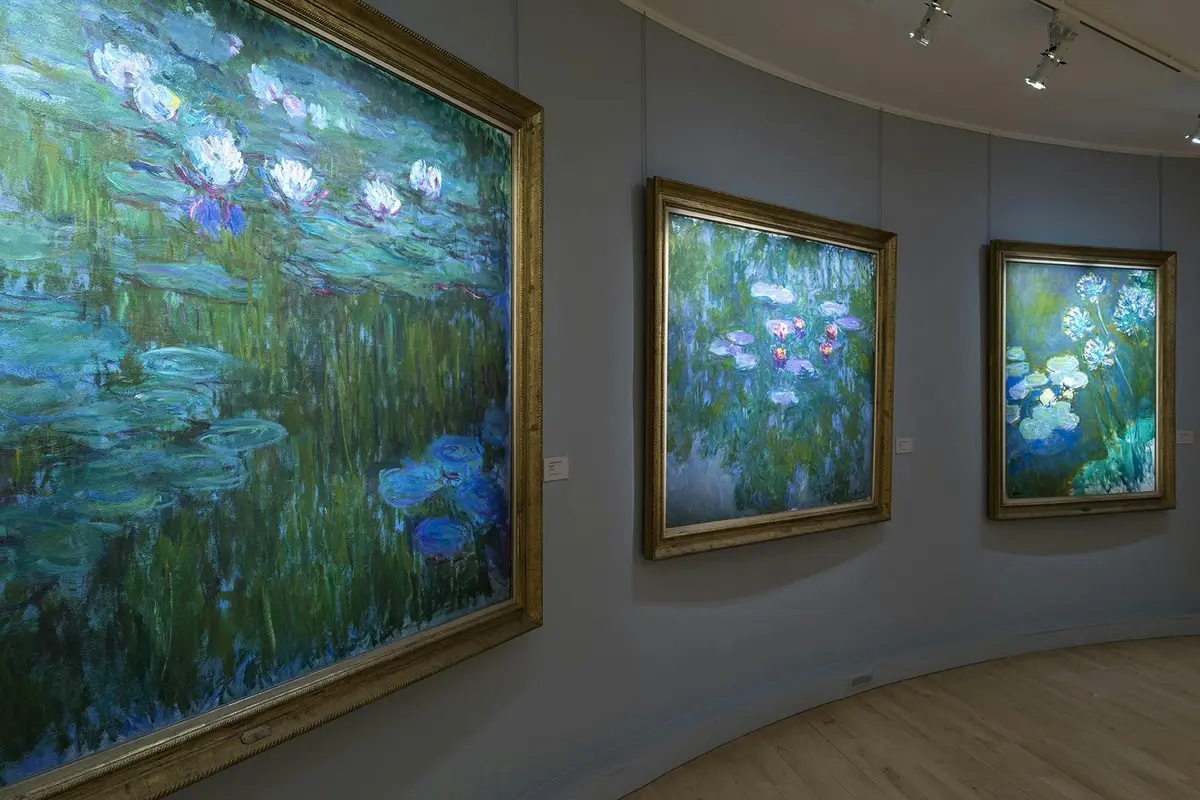 Une galerie d'art présentant des tableaux représentant des nénuphars dans des cadres ouvragés, accrochés à un mur gris incurvé.