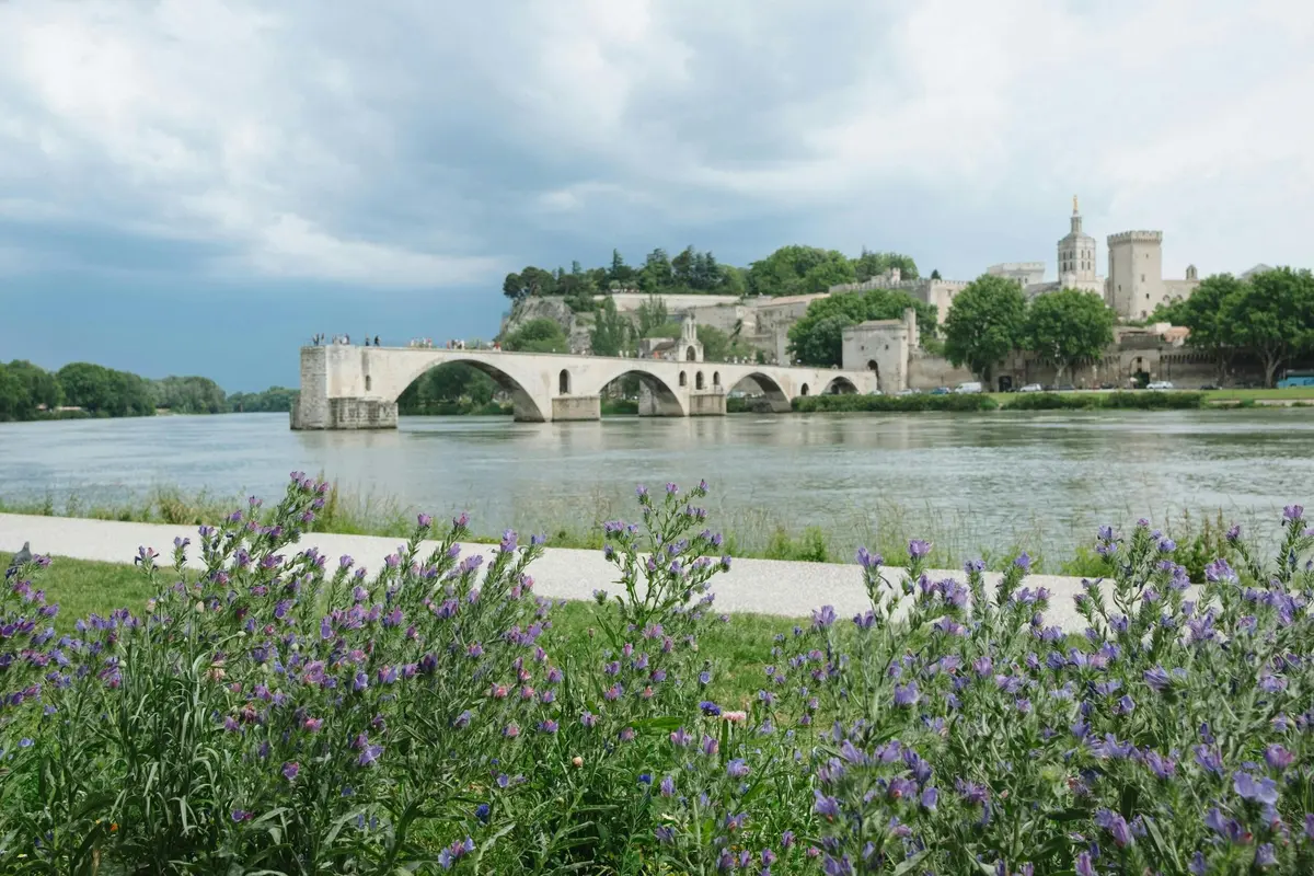 Pont historique en pierre enjambant une rivière avec de la verdure et des bâtiments à l'arrière-plan ; fleurs violettes au premier plan.