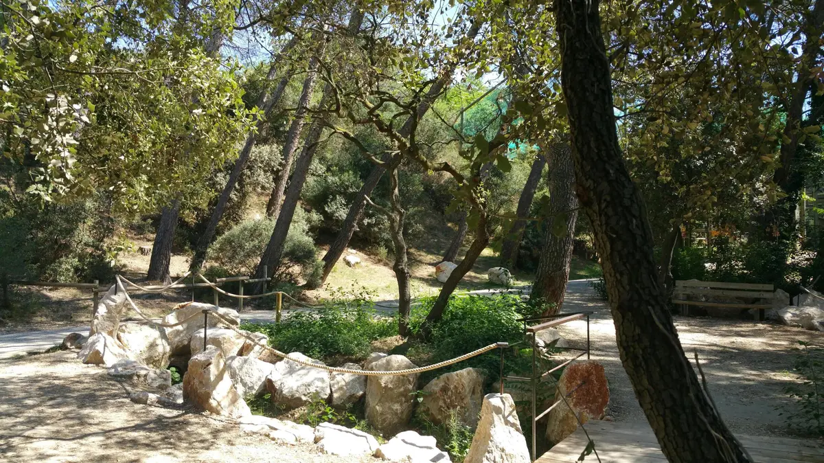 Scène de parc avec des arbres, des arbustes, de gros rochers et un sentier bordé d'une balustrade en corde. La lumière du soleil filtre à travers le feuillage.