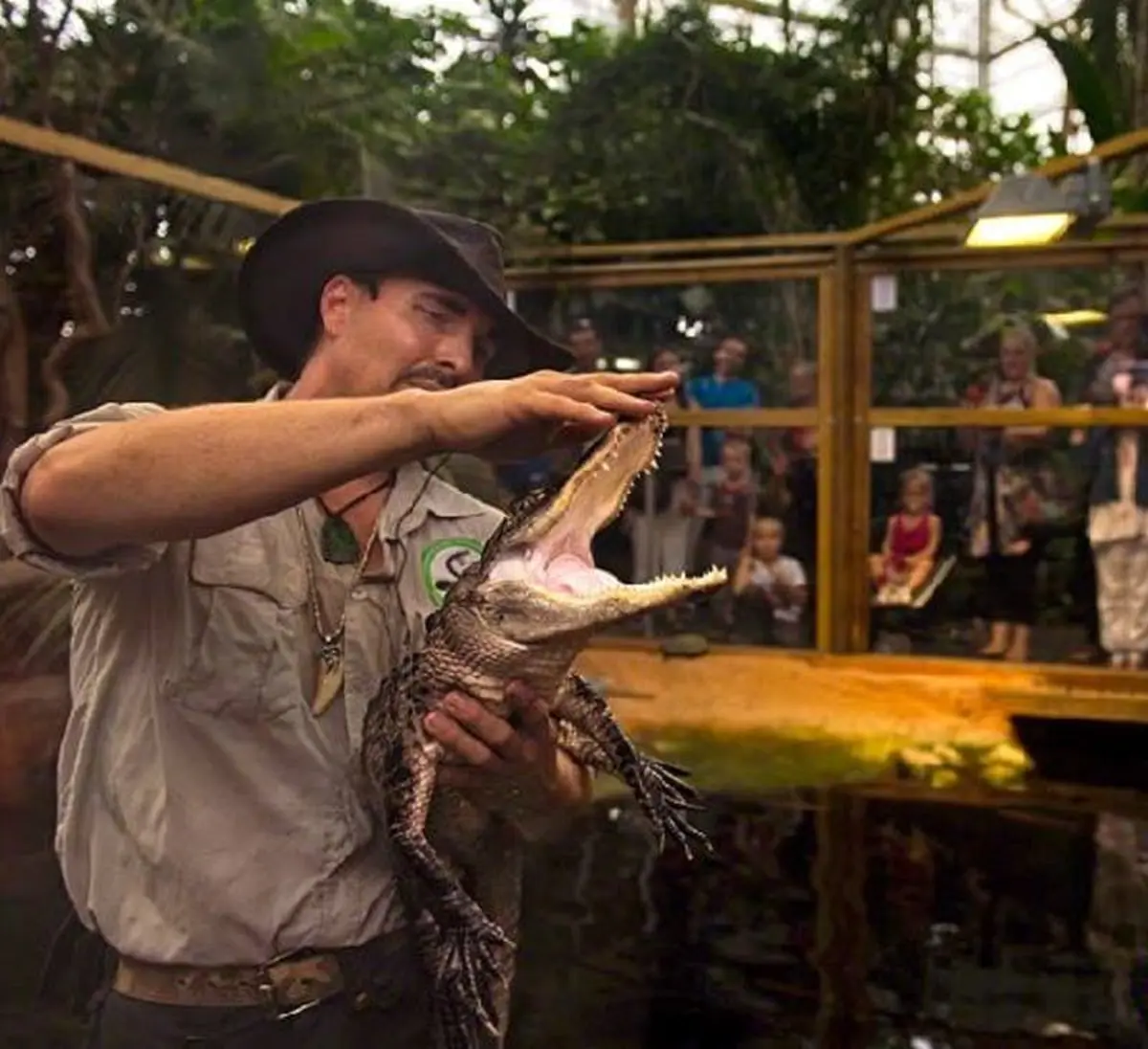 Un homme coiffé d'un chapeau tient un petit crocodile la gueule ouverte, tandis que des personnes observent la scène derrière un enclos de verre dans un décor de jungle.