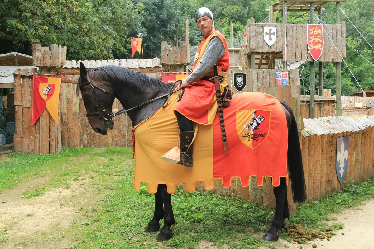 Une personne vêtue d'une armure médiévale et d'une cape colorée est assise sur un cheval drapé d'une tenue assortie, devant un fort en bois en toile de fond.