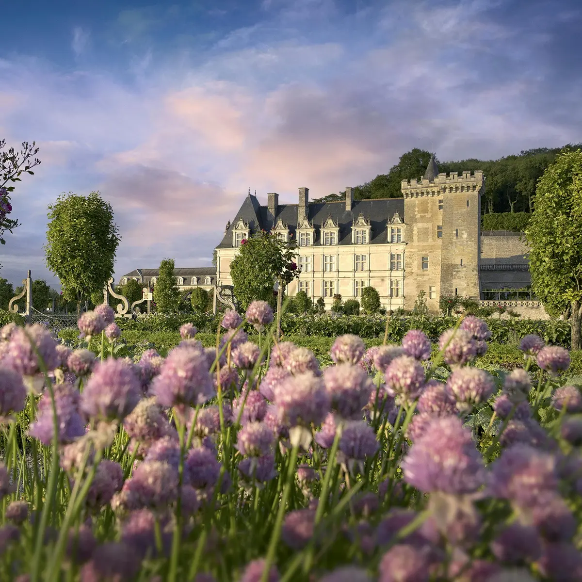 Château historique avec murs et tours en pierre, entouré de jardins luxuriants aux fleurs violettes, sous un ciel partiellement nuageux.