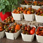 20 variétés de légumes français pour votre jardin
