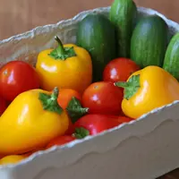 20 variétés de légumes français pour votre jardin DR