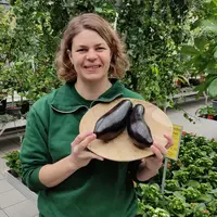 20 variétés de légumes français pour votre jardin DR