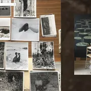 Exposition Regain de Vincent Chevillon au Musée du Château des Rohan à Saverne