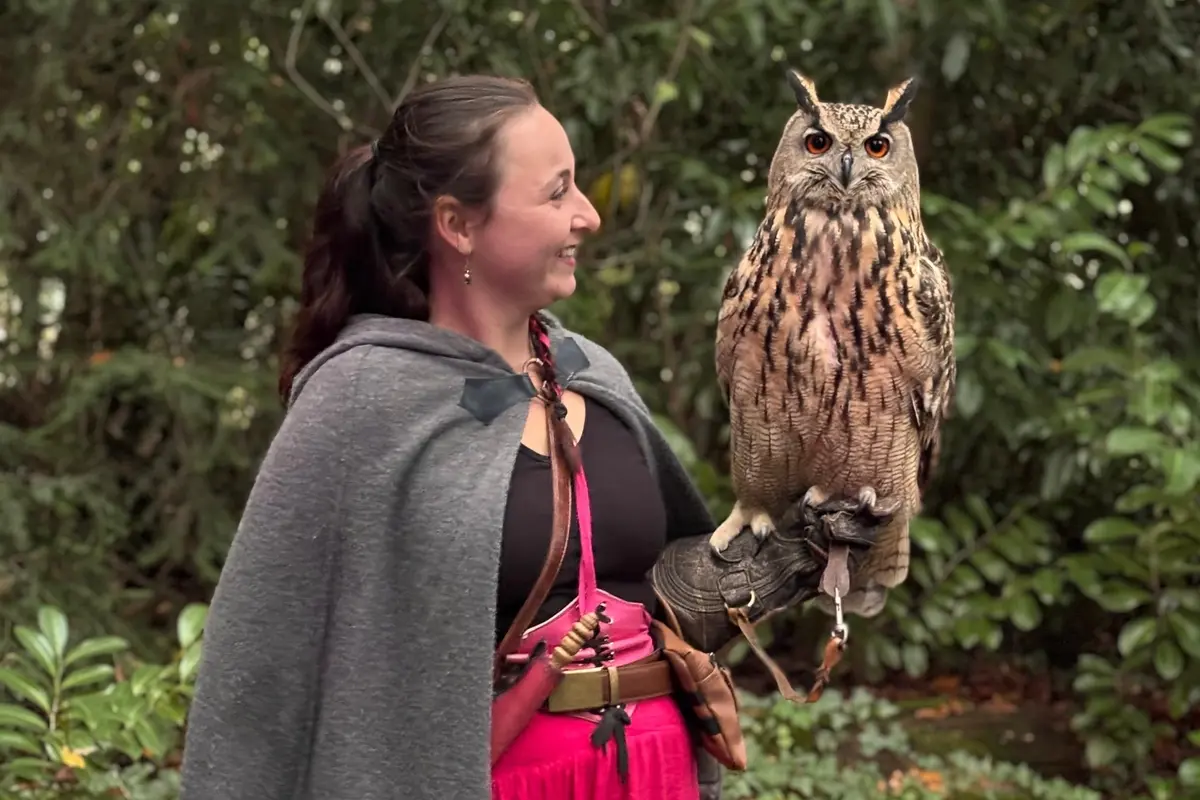 Le Château des Sorciers au Rocher Portail : une expérience immersive à Maen Roch