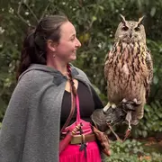 Le Château des Sorciers au Rocher Portail : une expérience immersive à Maen Roch