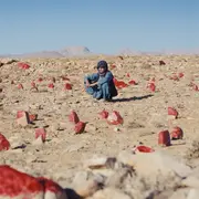 Ce que le ciel ne sait pas : une œuvre plastique et chorégraphique aux Nuits de Fourvière à Lyon