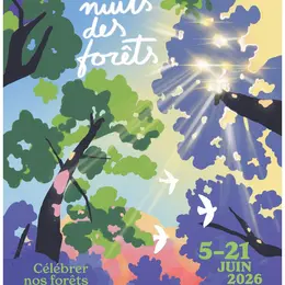 Les Nuits des Forêts dans le Grand Est : spectacles, balades et expériences immersives en forêt