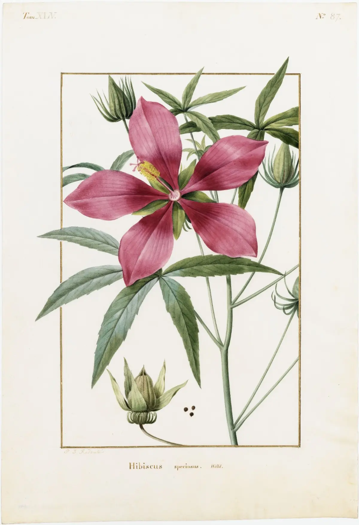 Exposition Artistes au Muséum à la Grande Galerie de l'Évolution à Paris