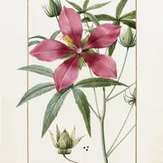 Exposition Artistes au Muséum à la Grande Galerie de l'Évolution à Paris