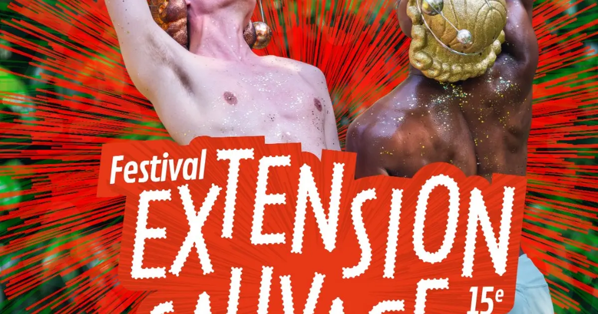 Festival Extension Sauvage : danse in situ et paysage à Combourg