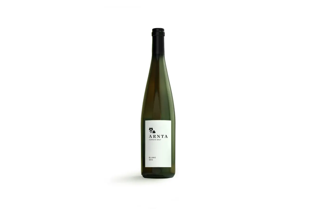 ARNTA, ces vins blancs alsaciens nés au pied du Château du Haut-Koenigsbourg que tout le monde s'arrache à Bergheim