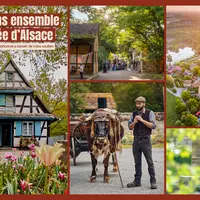 L'Écomusée d'Alsace à Ungersheim lance une grande mobilisation pour sauvegarder ce patrimoine vivant unique en France et appelle tous les Alsaciens à se joindre à cet élan collectif DR