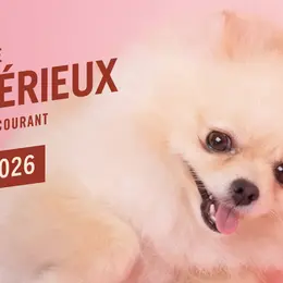 Restons Sérieux, le festival de musique francophone indépendante à Paris
