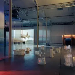 Exposition Rêves Premiers de Justine Emard au Lieu Unique de Nantes
