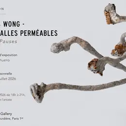 Exposition d'Alexis Wong à la LooLooLook Gallery de Paris : Intervalles perméables