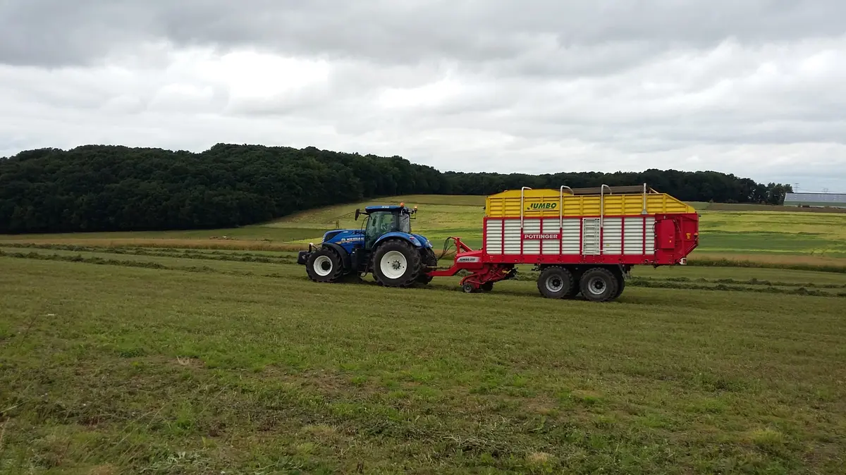 IPAGE Végétal 2026 : 2,1 millions d'euros disponibles pour les agriculteurs du bassin Rhin-Meuse, candidatez avant le 14 août