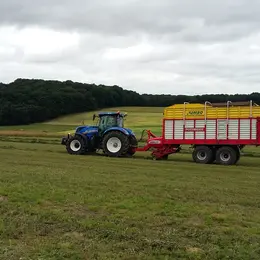 IPAGE Végétal 2026 : 2,1 millions d'euros disponibles pour les agriculteurs du bassin Rhin-Meuse, candidatez avant le 14 août