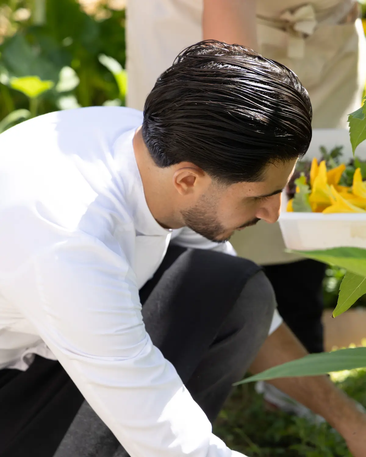 Les conseils du chef Christophe Pulizzi de l'Olivier à Pertuis pour bien cuisiner la courgette