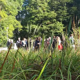 Le Parc Saint-Sauveur à Lille : un nouvel espace vert ouvert à tous