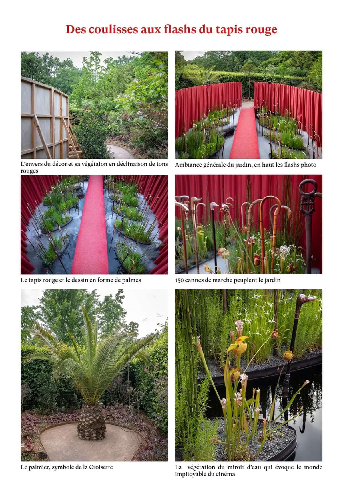 Prix du Design au Festival des Jardins de Chaumont-sur-Loire pour le jardin Festival des Cannes