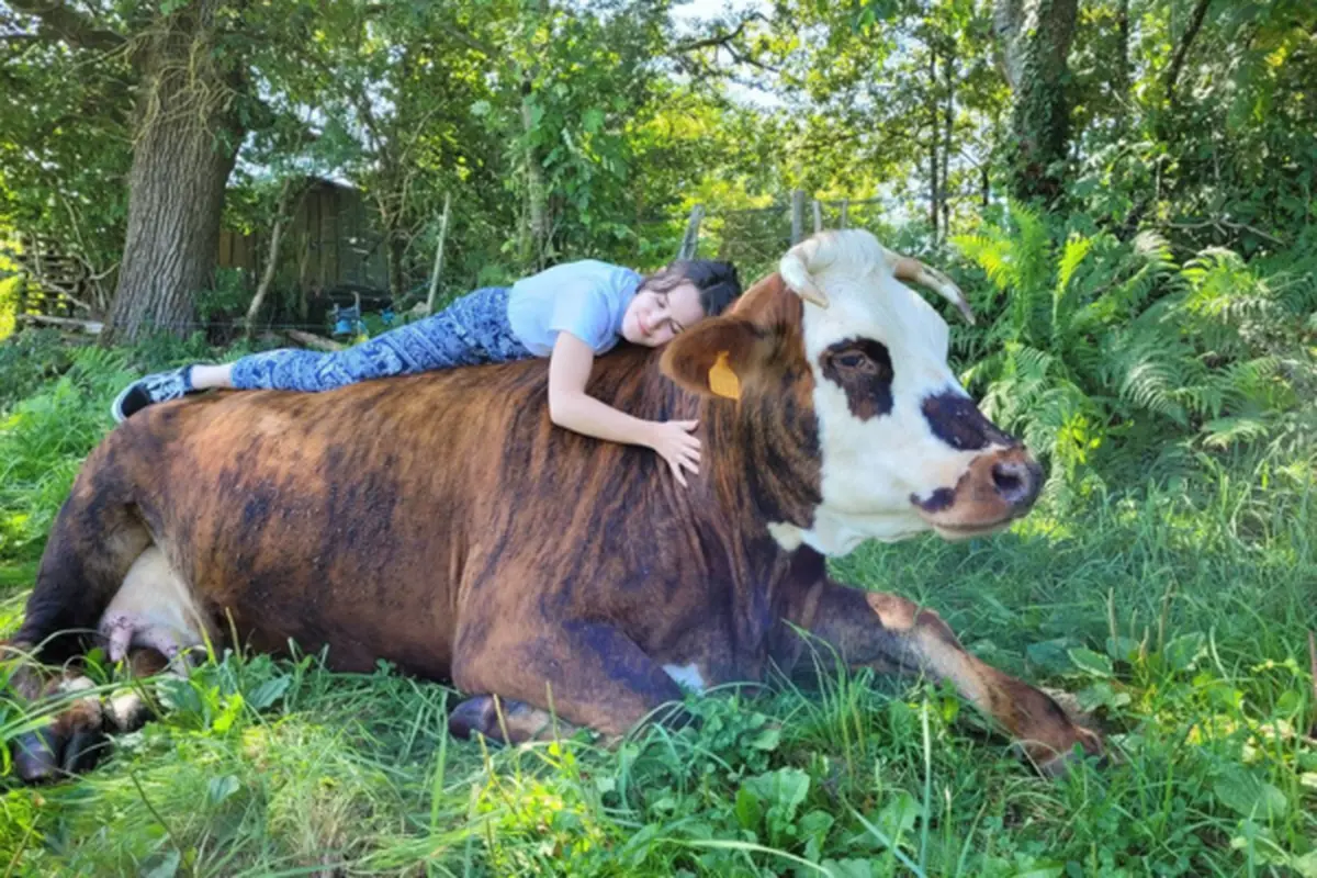 Le Sanctuaire du FUTUR et l'accueil de familles pour des animaux de ferme rescapés