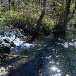 Les Folies des Lacs au lac de La Colmiane : une fête brésilienne dans les Alpes-Maritimes