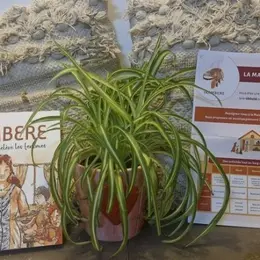 Ikambere, la Maison accueillante pour les femmes atteintes de maladies chroniques à Lille
