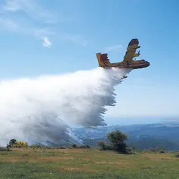 Feux de forêt dans les Alpes-Maritimes : comment le Département protège son territoire