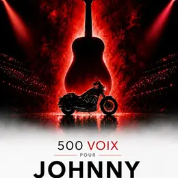 500 voix pour Johnny : la tournée hommage dans les Zéniths de France