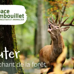 Le brame du cerf à l'Espace Rambouillet de Sonchamp