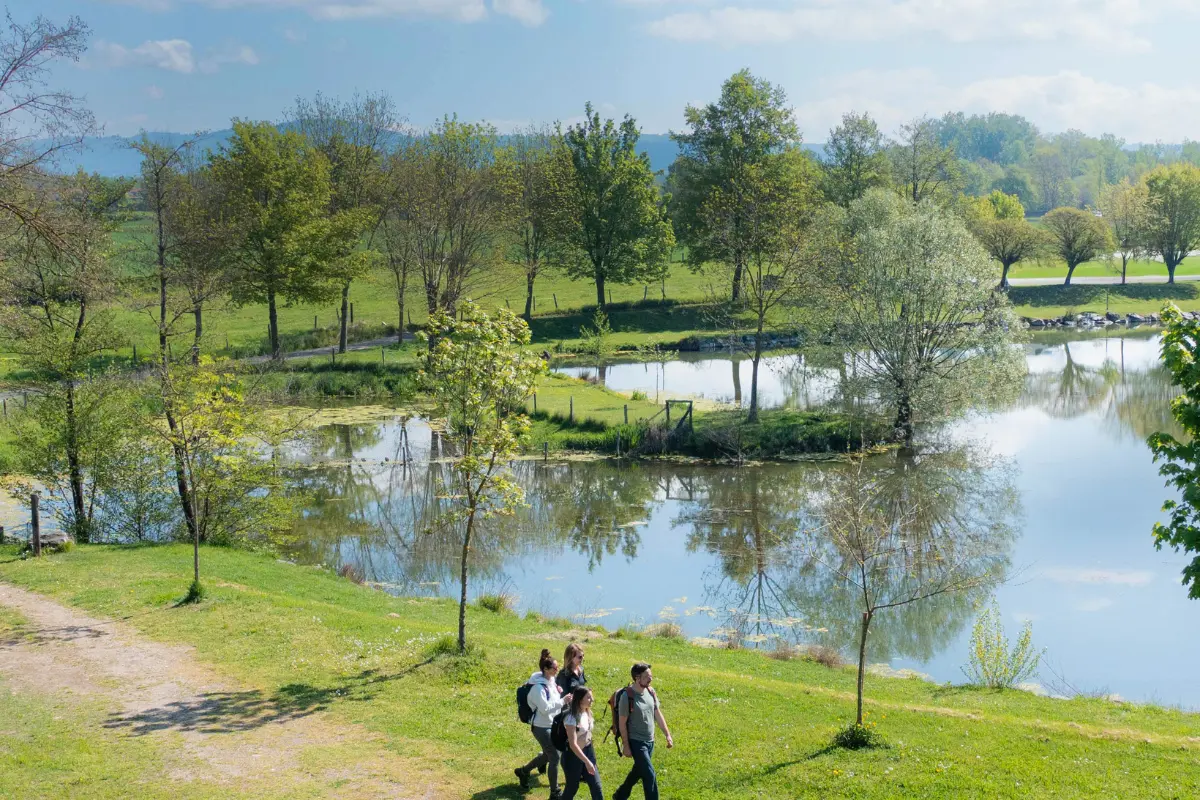 Randonnée, croisières, gastronomie et patrimoine : les sorties incontournables dans la Loire cet été