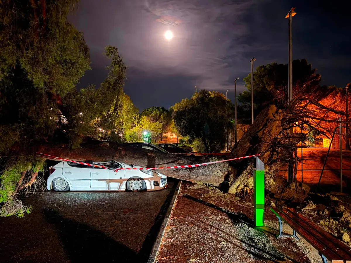 Orage à Istres : rafales record, arbres déracinés et plages interdites de baignade