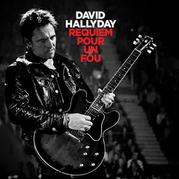 David Hallyday en tournée : le Requiem Tour pour ses ultimes représentations en France