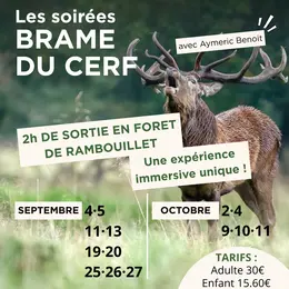 Soirée brame du cerf en forêt de Rambouillet avec Aymeric Benoit