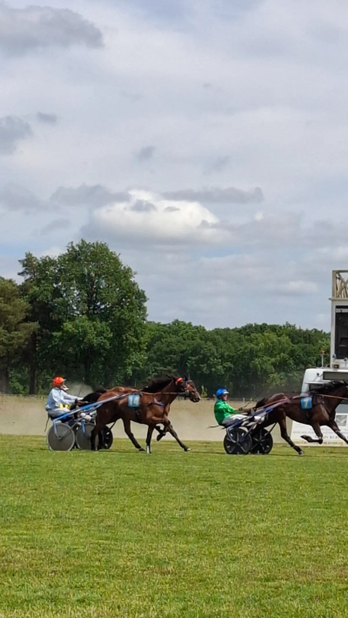 Courses hippiques à l'Hippodrome de Rambouillet