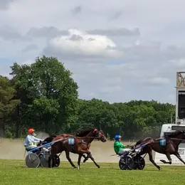 Courses hippiques à l'Hippodrome de Rambouillet