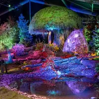 Folie'Flore et les Journées d'Octobre au Parc Expo de Mulhouse DR